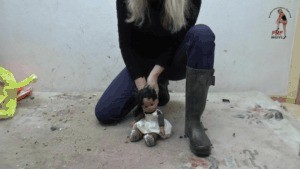 Poor Doll Under Wellies